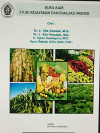 Image of ebook: Administrasi Rumah Sakit Buku Ajar Studi Kelayakan dan Evaluasi Proyek