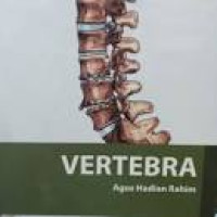 Image of Kep Orthopedi : Vertebra