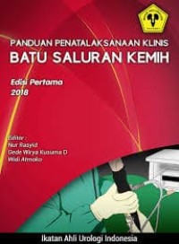 Image of Ebook : Panduan Penatalaksanaan Klinis Batu Saluran Kemih